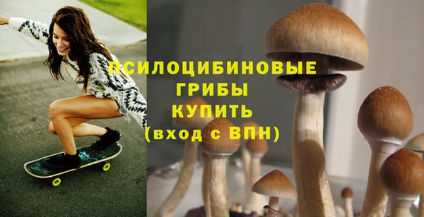 дживик Алзамай