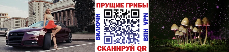 Псилоцибиновые грибы Psilocybe где купить наркоту площадка телеграм Кувшиново